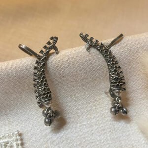 Matsya Ear Climbers